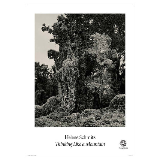 Portrait of tree covered in moss. Exhibition title below: Helene Schmitz | Thinking Like a Mountain