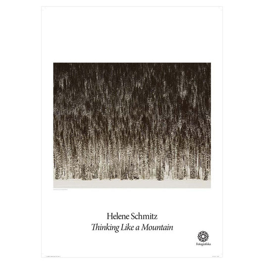 Group of trees at night and exhibition title: Helene Schmitz: thinking Like a Mountain