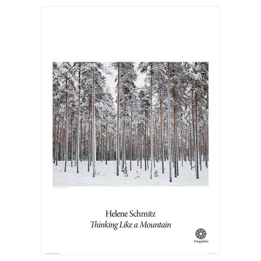 Black & White landscape of forest in snow. Exhibition title below: Helene Schmitz | Thinking Like a Mountain