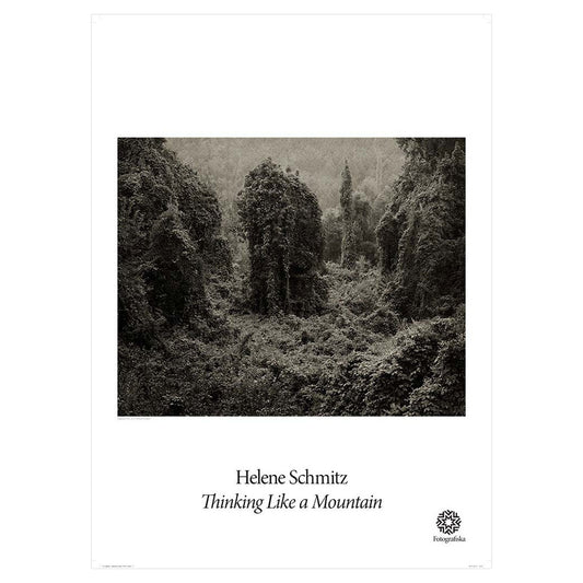 Color portrait of mossy landscape. Exhibition title below: Helene Schmitz | Thinking Like a Mountain