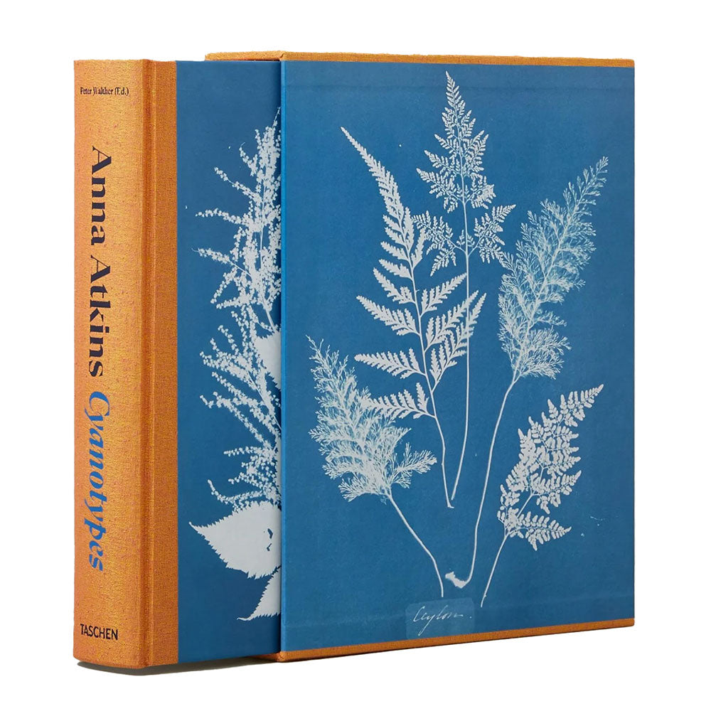 Anna Atkins: Cyanotypes book cover, sliding out of a jewel case.  Cyanotype of trees