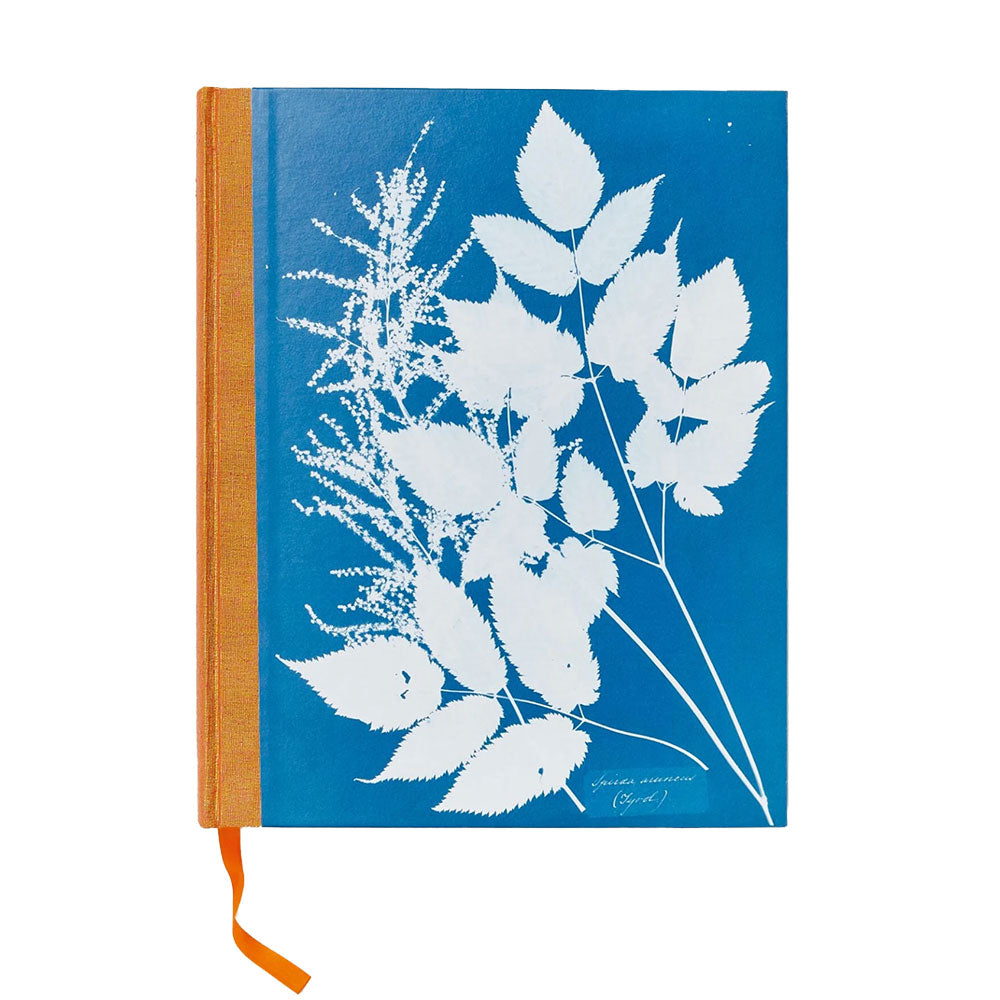 Anna Atkins: Cyanotypes book cover, sliding out of a jewel case.  Cyanotype of trees