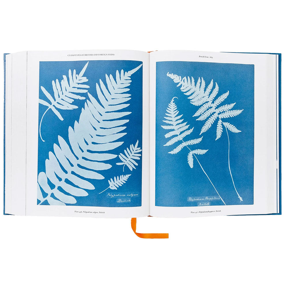 Open book shot of Anna Atkins: Cyanotypes, showing cyanotypes on the left and the right