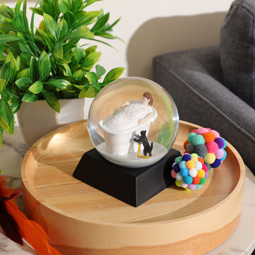 "Bad Kitty" Snow Globe, sitting on a wooden table next to a plant and other living room decor