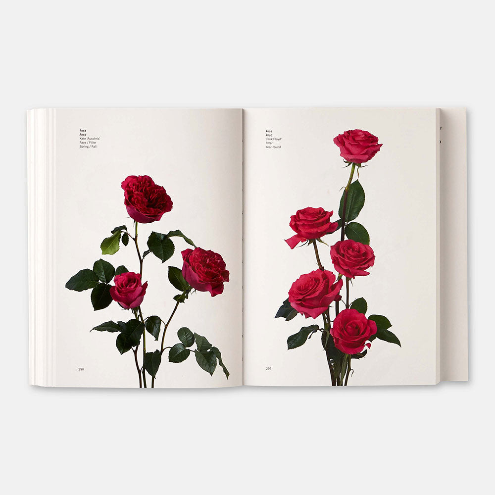 Open spread of  Flower Color Guide, showing color illustrations of roses on the left and right