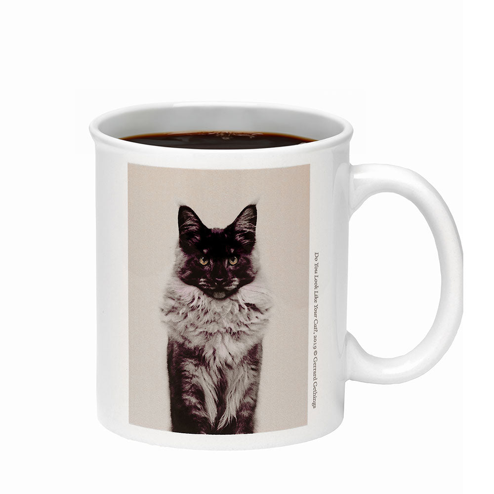 Gerrard Gethings Mug, Do You Look Like Your Cat?, filled with coffee