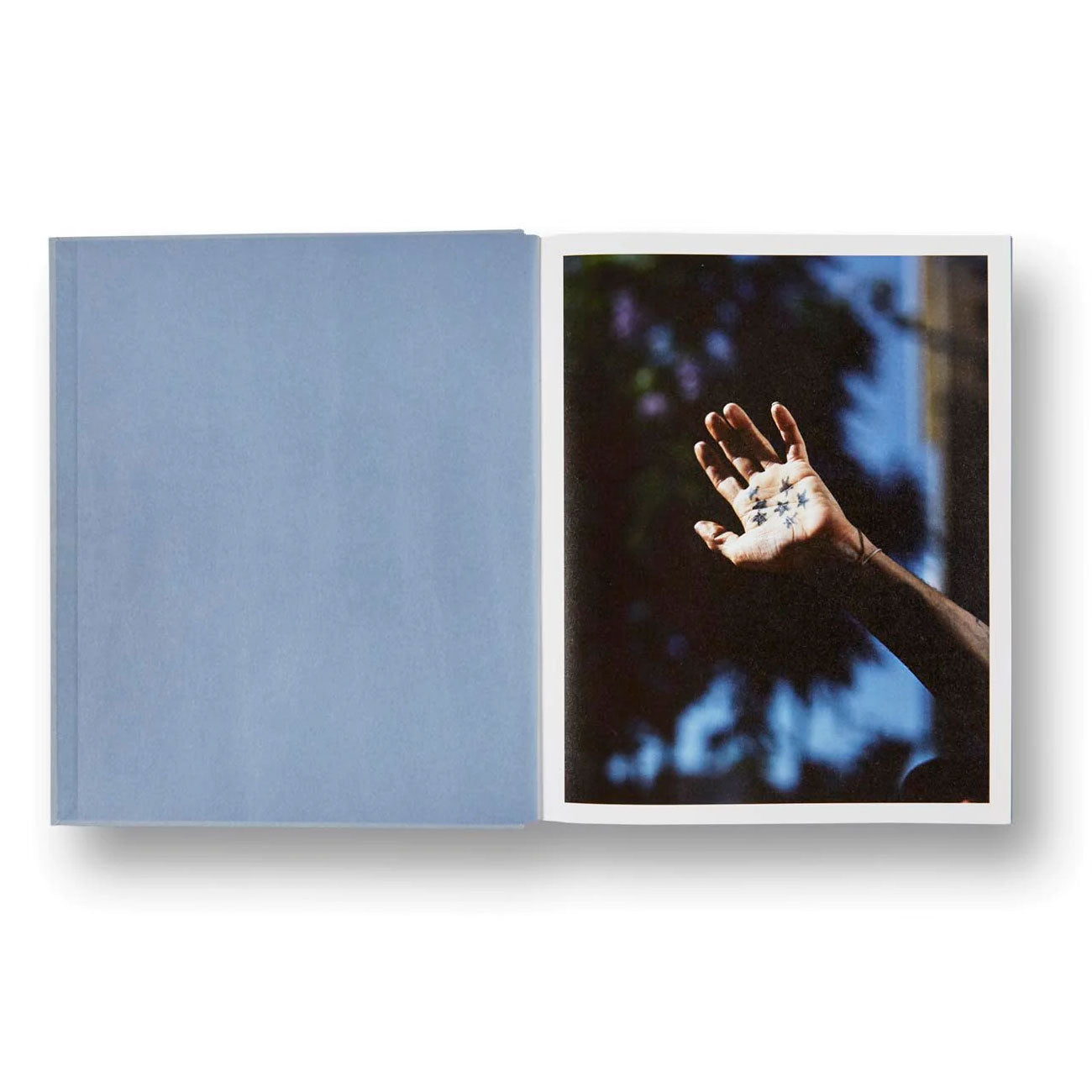 Spread shot of Gregory Halpern: ZZYZX, showing a color photo of a hand on the right