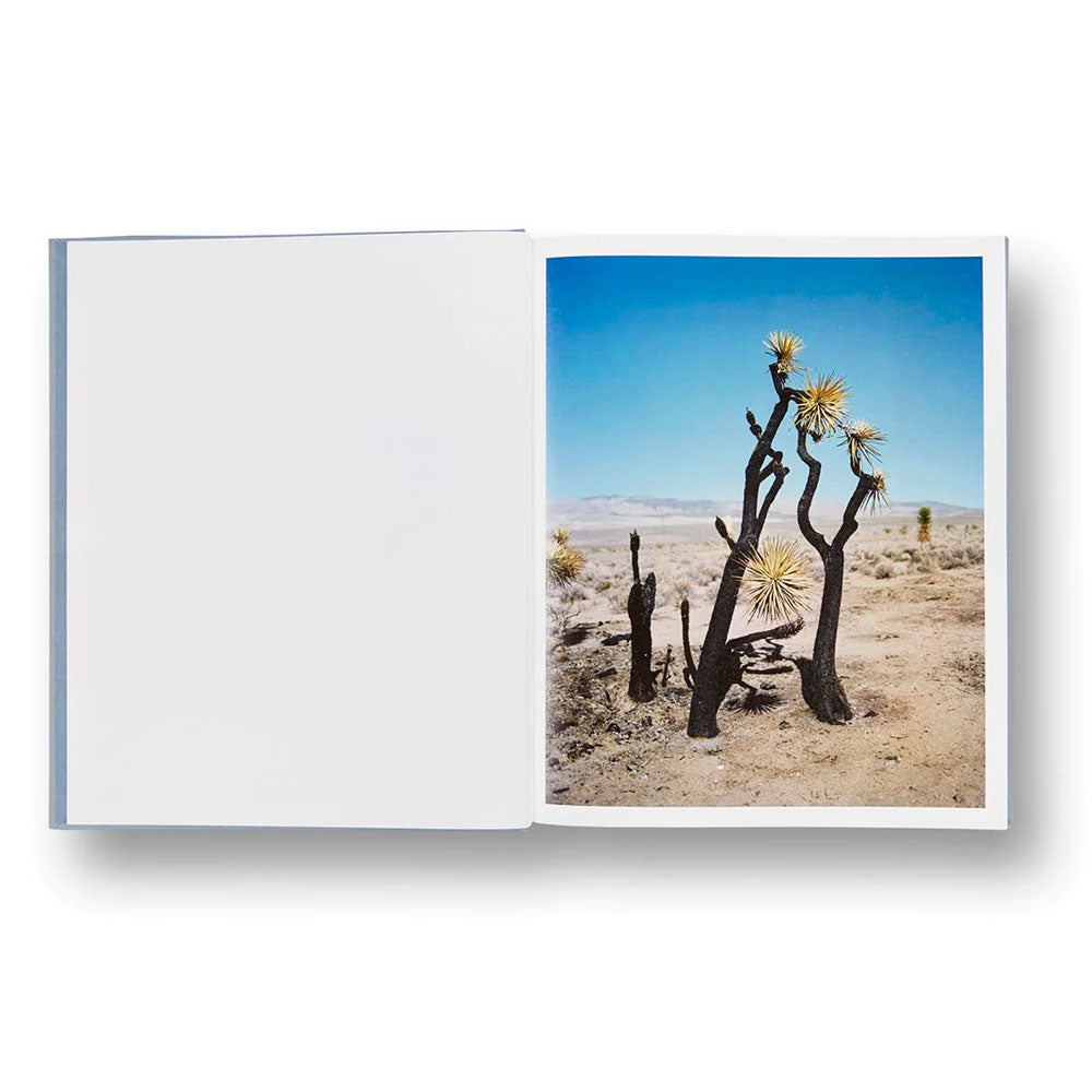 Spread shot of Gregory Halpern: ZZYZX, showing a color photo of trees in a desert on the right