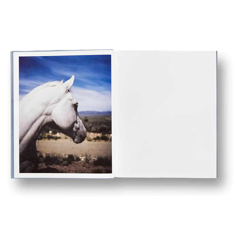 Spread shot of Gregory Halpern: ZZYZX, showing a color photo of a white horse on the left