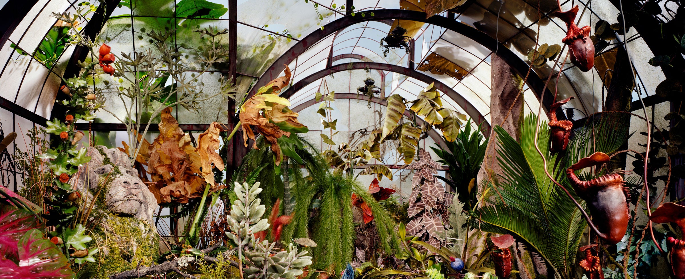 Crop of Botanic Garden by Lori Nix, beautiful florals in a greenhouse.
