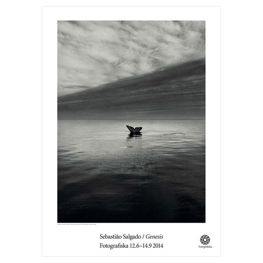 Black and white portrait of whale fin of diving whale. Exhibition title below: Sebastião Salgado | Genesis