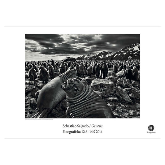 Black and white landscape of elephant and calves. Exhibition title below: Sebastião Salgado | Genesis