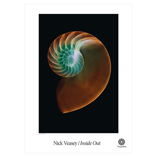 Pink spiral with blue highlights at center. Exhibition title below: Nick Veasey | Inside Out