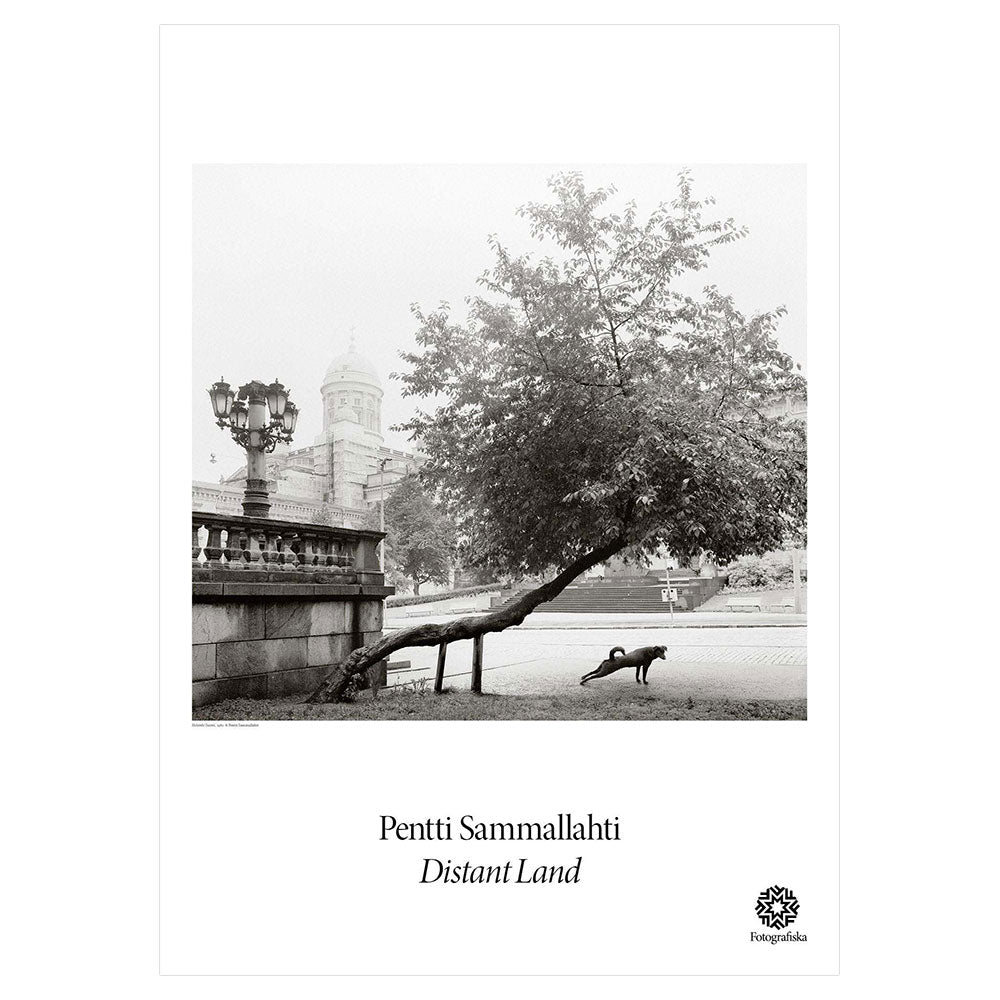 Black and white image of a dog stretching underneath a leaning tree.  Exhibition title below: Pentti Sammallahti | Distant Land