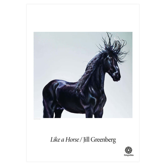 Image of black horse from mid-leg up.  Exhibition title below: Like a Horse | Jill Greenberg