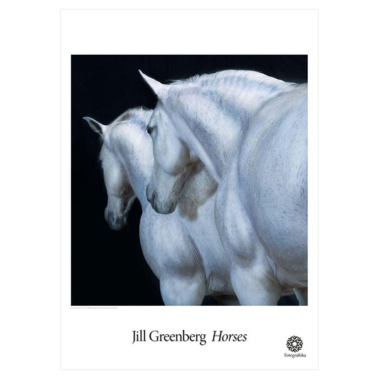 Closeup of two white horses. Exhibition title below: Jill Greenberg | Horses