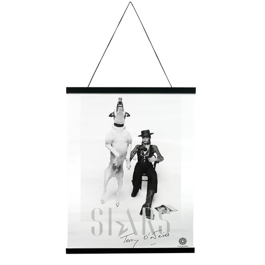 Black poster hanging kit, with Terry O'Neill poster of David Bowie and a dog