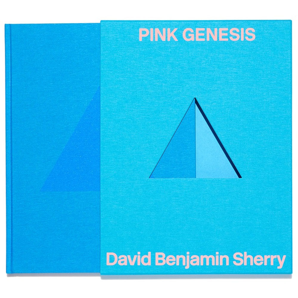 Blue book showing "pink Genesis" title by David Benjamin Sherry
