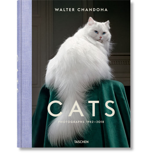 Cats: Photographs book cover, featuring a color photo of a white cat