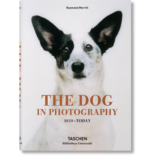 Cover of Dog in Photography book, showing black and white dog with big ears
