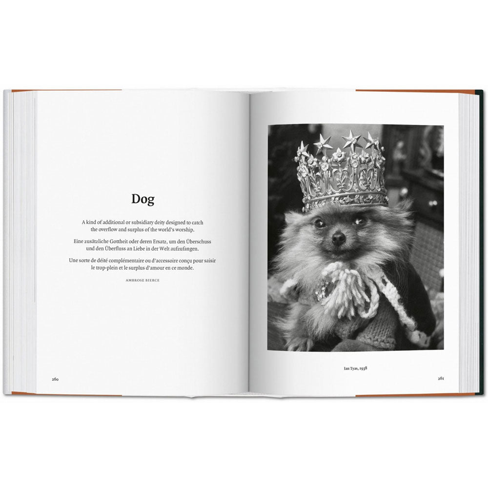 Spread shoot of Dog in Photography book, showing black and whote photo of a dog to the right and text to the left