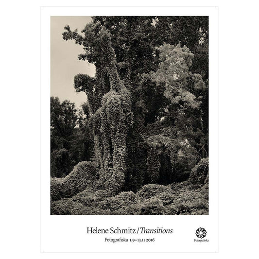 Black & white image of trees covered in moss. Exhibition title below: Helene Schmitz | Transitions