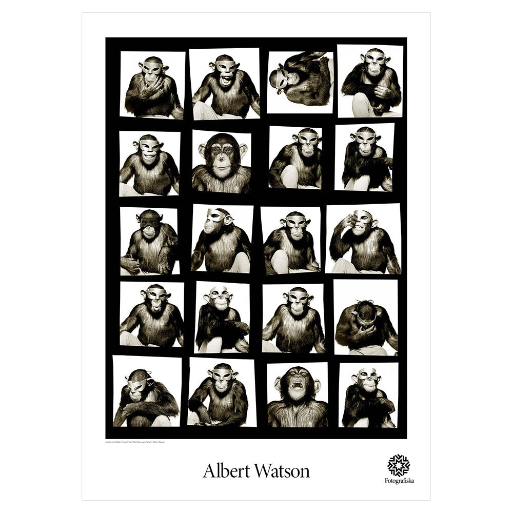 Repeated images of monkey on a grid. Artist name below: Albert Watson