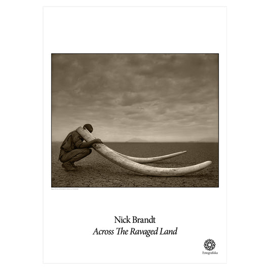 Black and white image of ranger, kneeling and holding two giant tusks in a wasteland on a gloomy day. Exhibition title below: Nick Brandt | Across The Ravaged Land