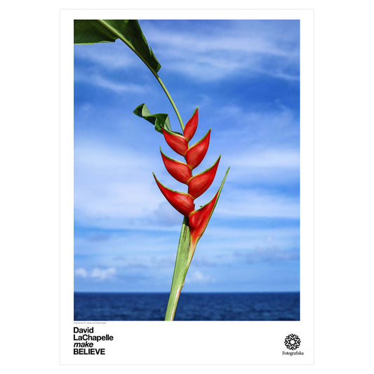 Long red plant against a partly cloudy blue sky and sea. Exhibition title below: David LaChapelle | make BELIEVE