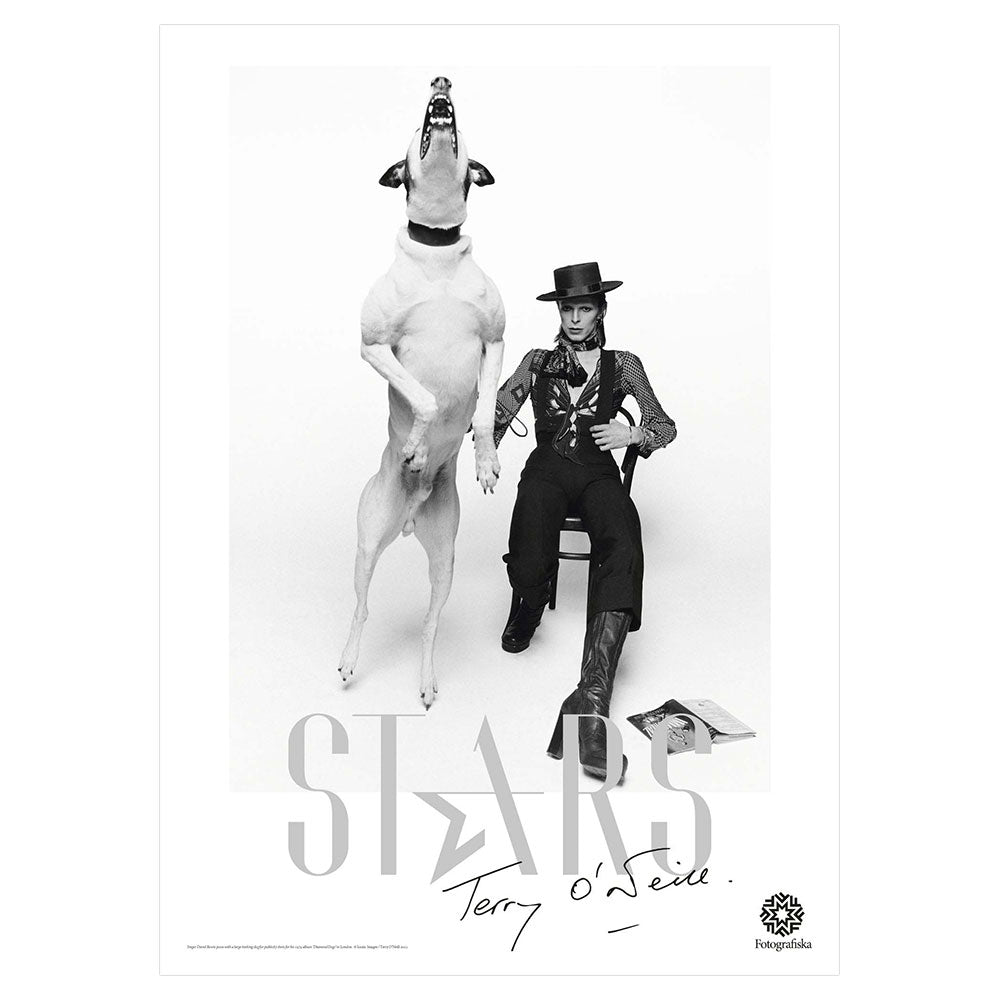 Black and white image of David Bowie and dog.  Exhibition title showing: Stars | Terry O'Neill