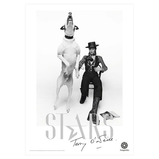 Black and white image of David Bowie and dog.  Exhibition title showing: Stars | Terry O'Neill