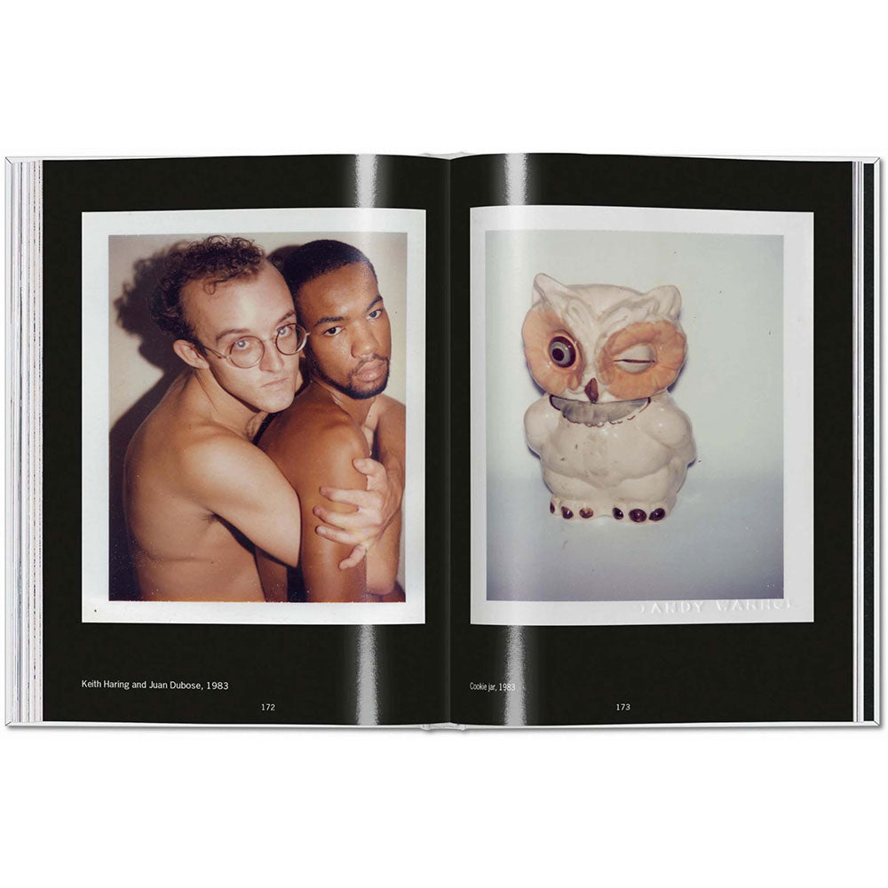 Andy Warhol: Polaroids 1958-1987 (Small Format) book, open and showing color photographs