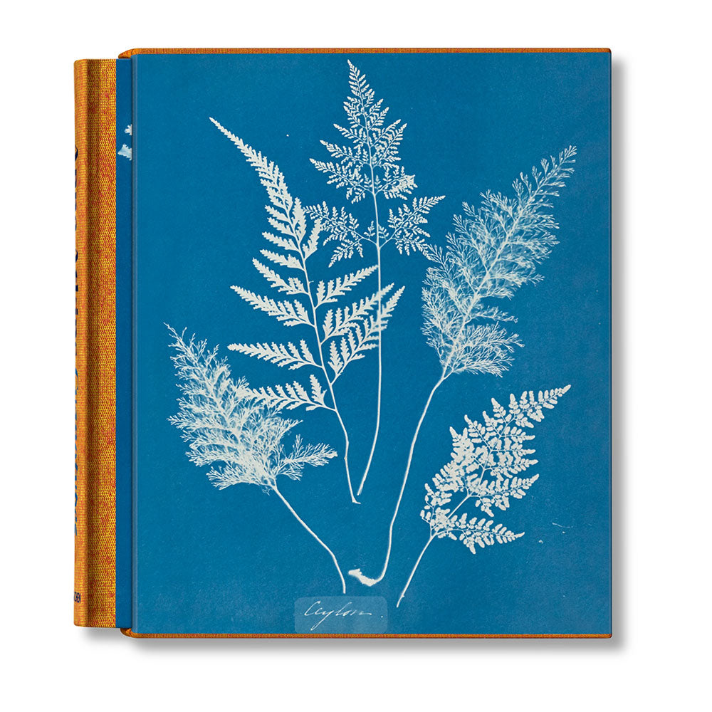 Anna Atkins: Cyanotypes book cover, sliding out of a jewel case.  Cyanotype of trees