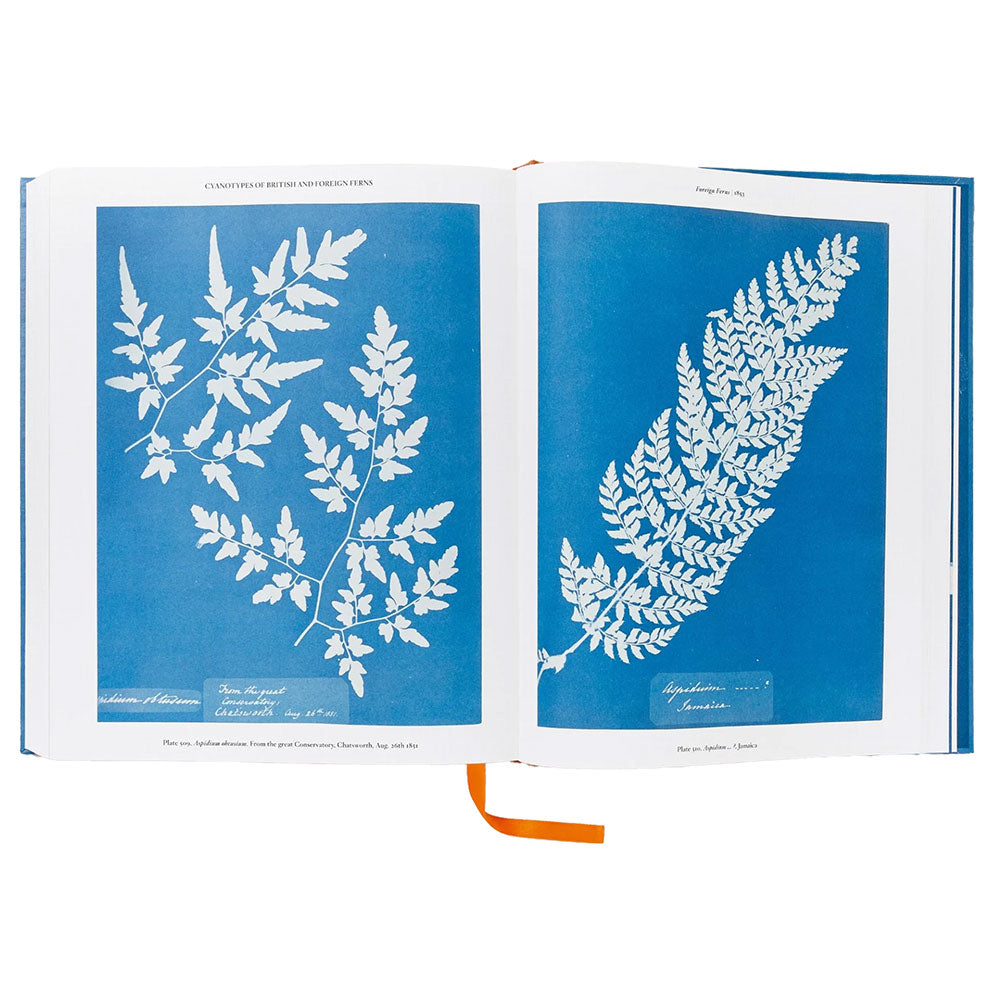 Open book shot of Anna Atkins: Cyanotypes, showing cyanotypes on the left and the right