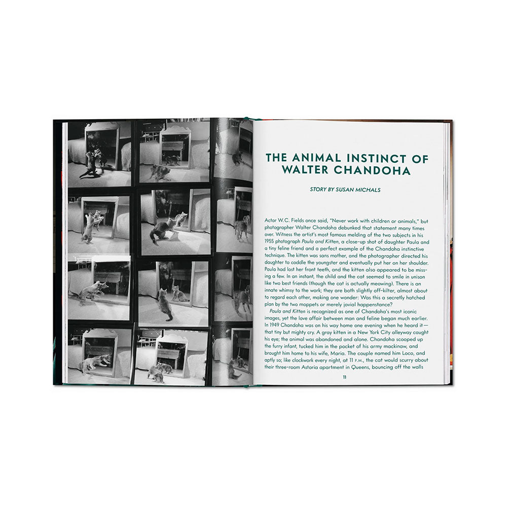 Spread shot of Walter Chandoha: Cats, Photographs 1942-2018, showing black and white photos on the left and text to the right