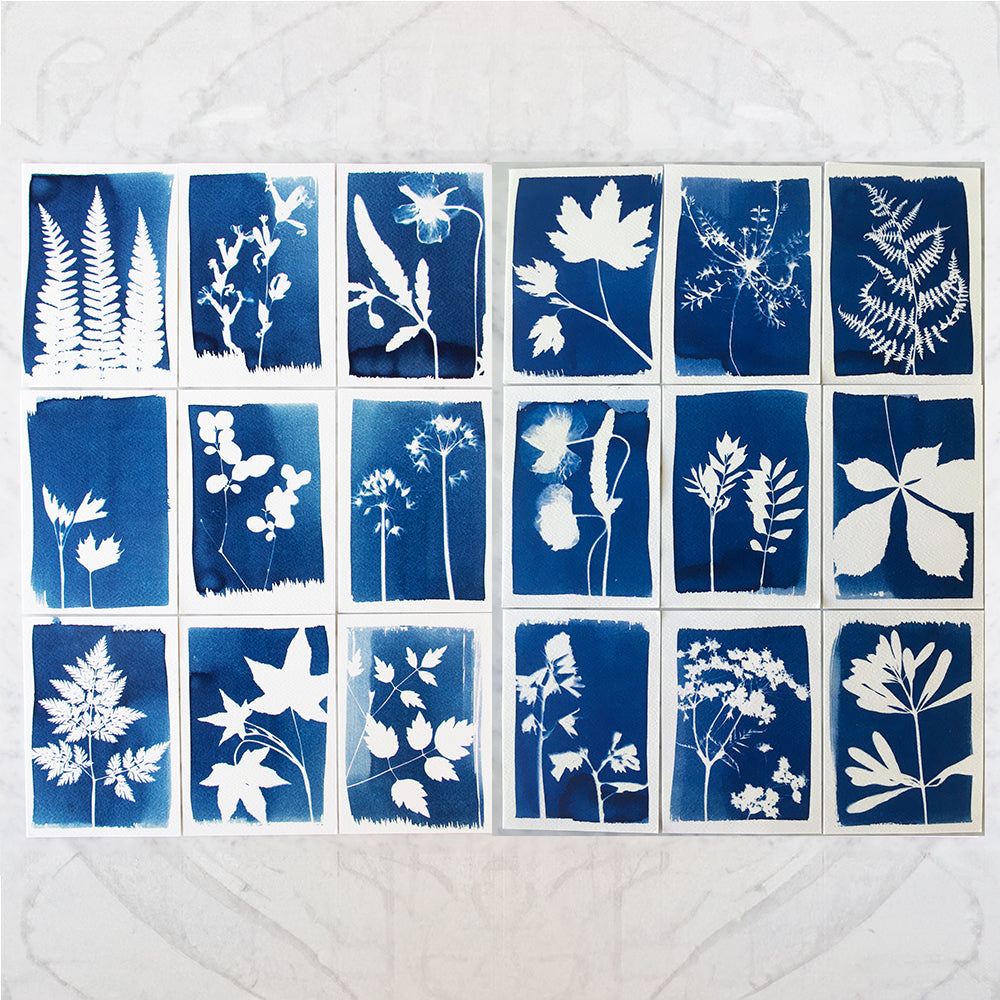 DIY Cyanotype Kit