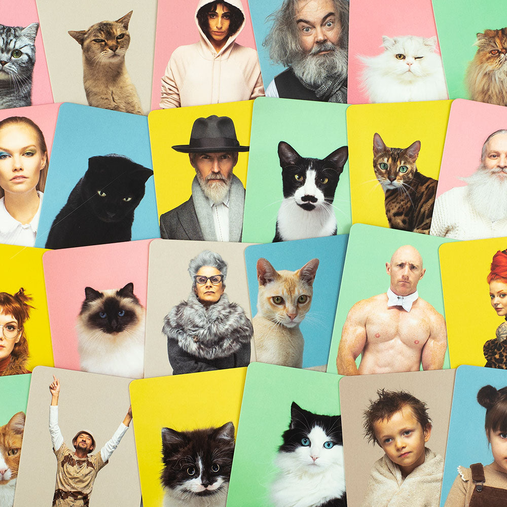 Do You Look Like Your Cat? Memory Game