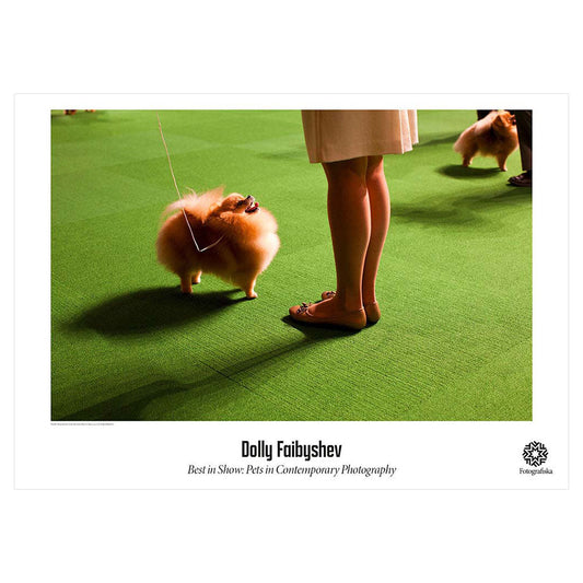 Dolly Faibyshev Double Pomeranian, 2012 Poster, a color photo of two fluffy dog at the feet of its master.