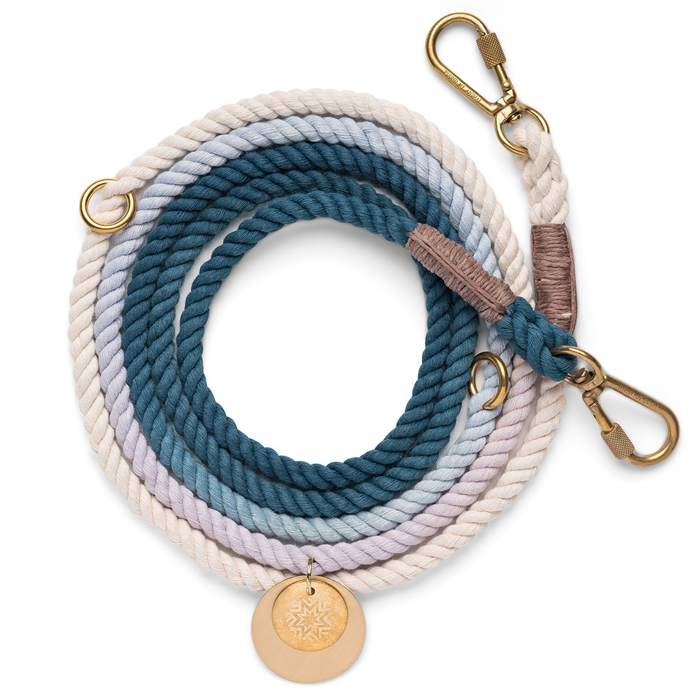 Found my shop animal ombre leash