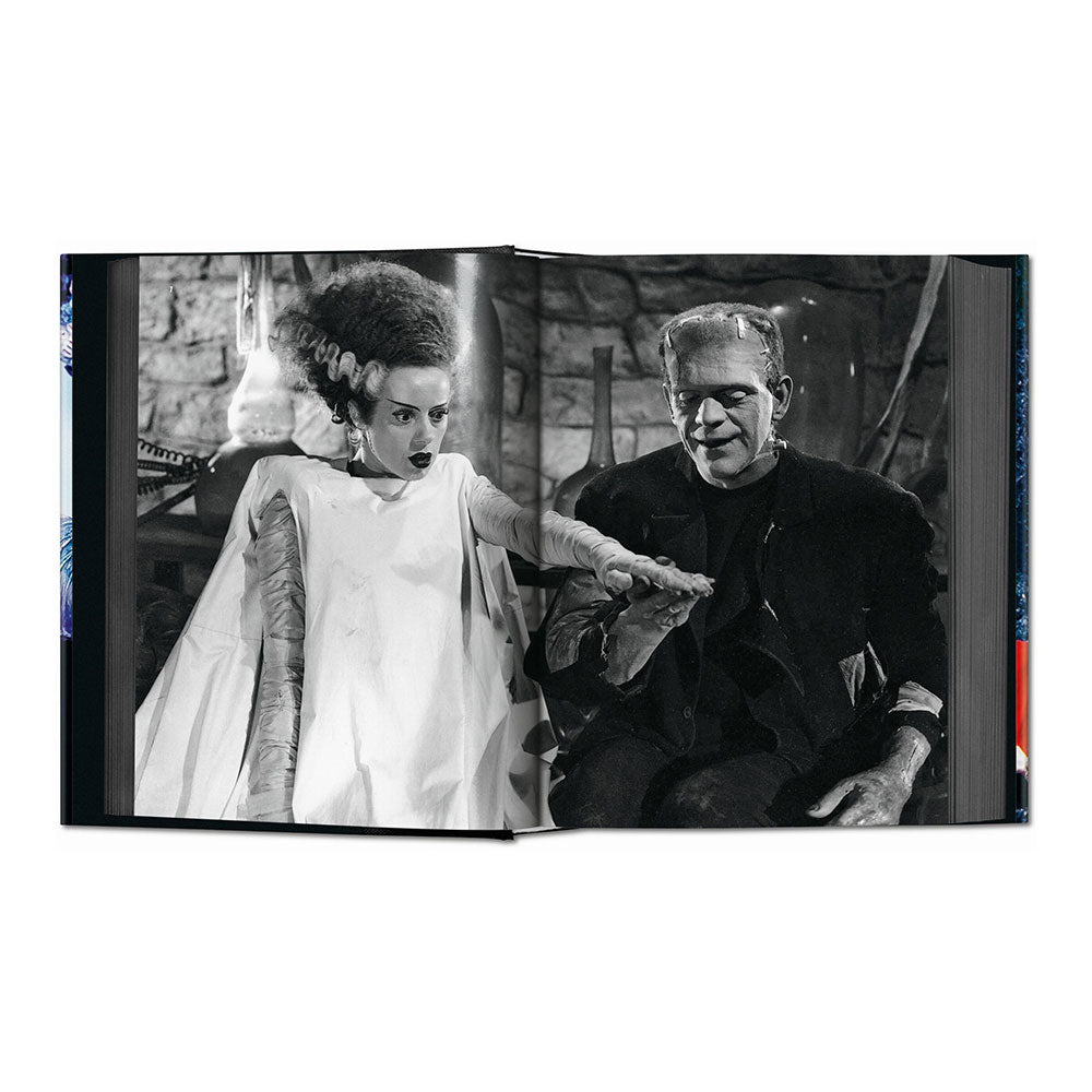 Horror Cinema book, open and showing a black and white photo Frankenstein's Monster and the Bridge of Frankenstein's Monster.