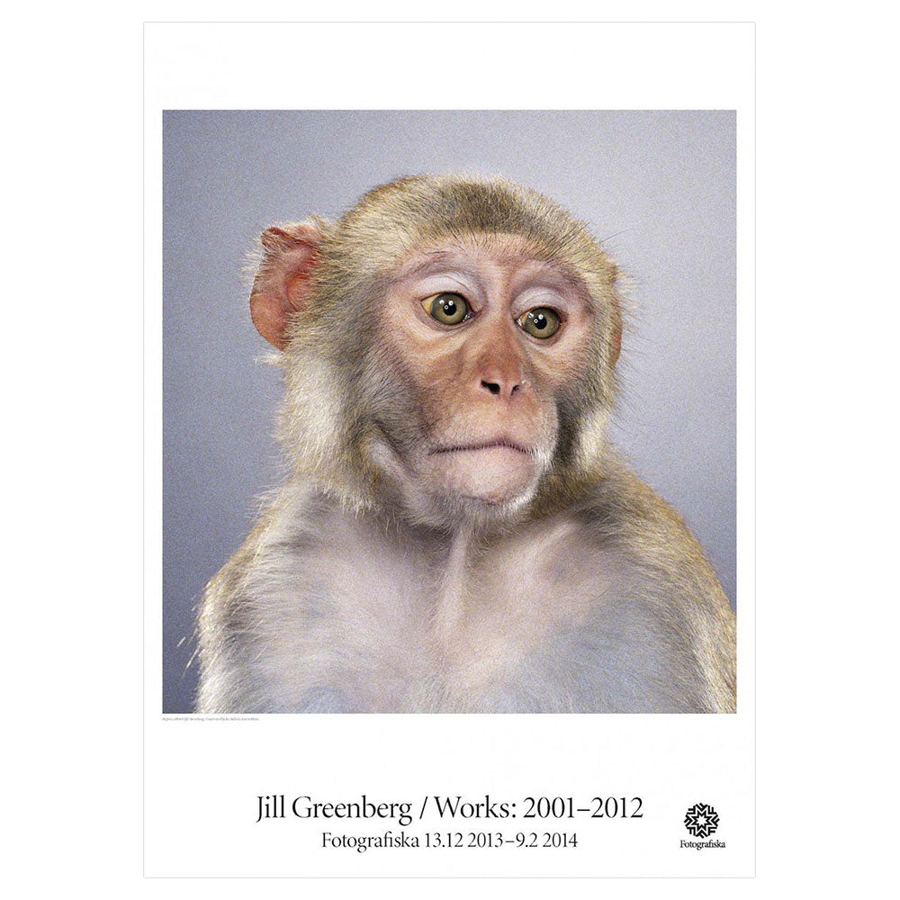 Monkey looking to the side with pondering expression. Exhibition title below: Jill Greenberg | Works, 2001 - 2012