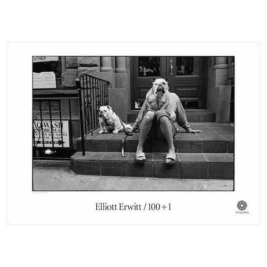 Black and white image of two bulldogs, one sitting on the lap of someone on their NYC stoop.  Exhibition title below: Elliot Erwitt | 100 + 1