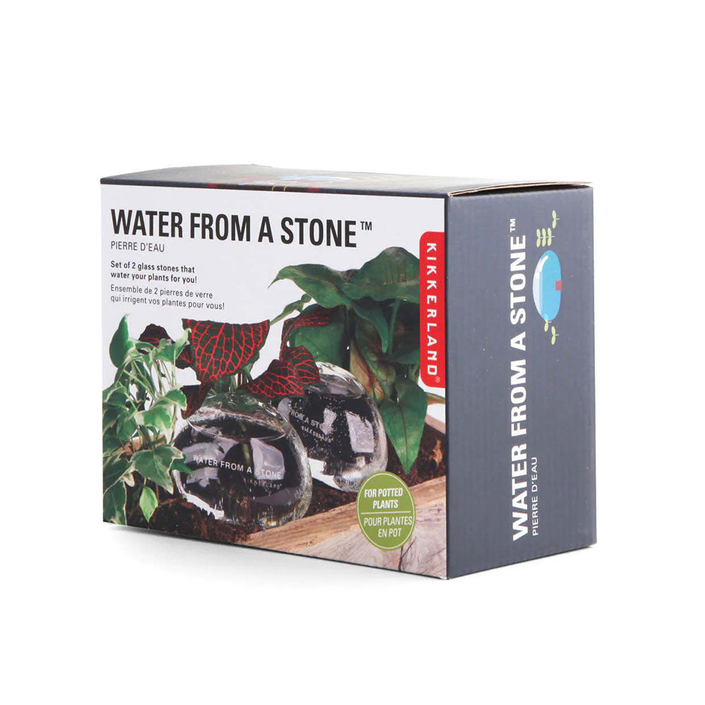 Water From a Stone (Water Rocks)