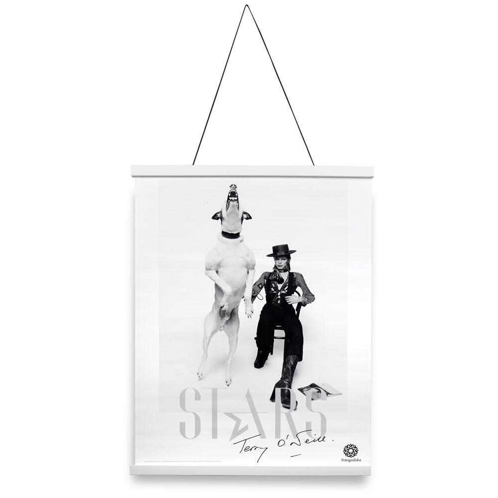 White poster hanging kit, with Terry O'Neill poster of David Bowie and a dog