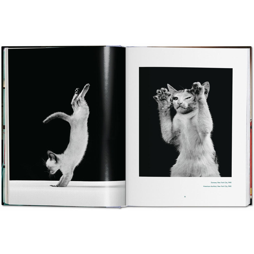 Spread of Cats: Photographs book, featuring two black and white photos of cats on left and right